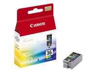 CANON PG-36 - CARTOUCHE COULEUR