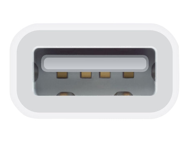 Apple Lightning vers USB Adapteur