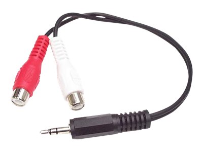 StarTech Câble adaptateur audio Mini-Jack